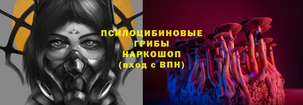 ГАЛЛЮЦИНОГЕННЫЕ ГРИБЫ Елизово